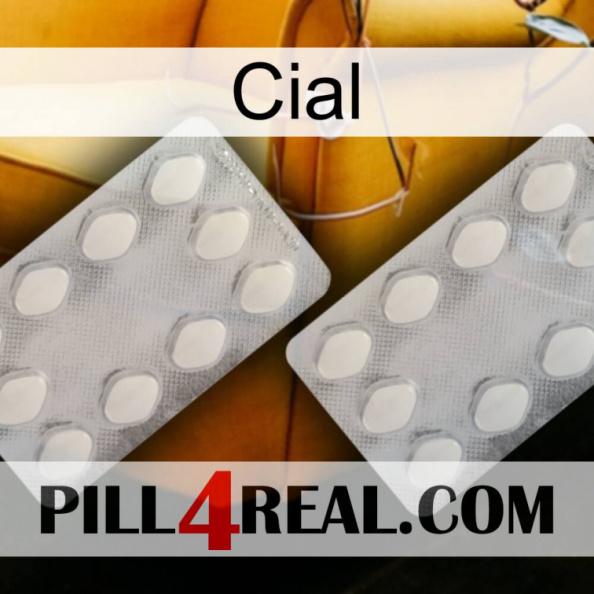 Cial 17.jpg